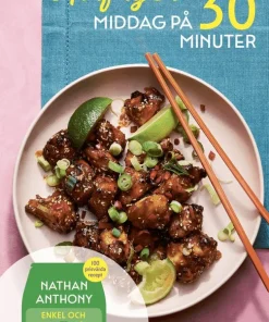 Airfryer : middag på 30 minuter