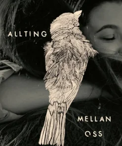 Allting mellan oss