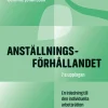 Anställningsförhållandet : inledning till den individuella arbetsrätten