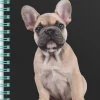 Anteckningsbok A6 wire-o linjerad Hund
