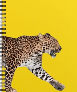 Anteckningsbok A5 wire-o linjerad Leopard