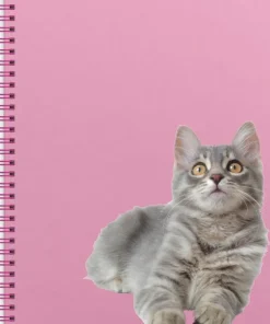 Anteckningsbok A4 wire-o linjerad Katt/Hund
