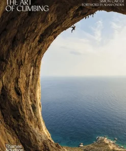 Art of Climbing