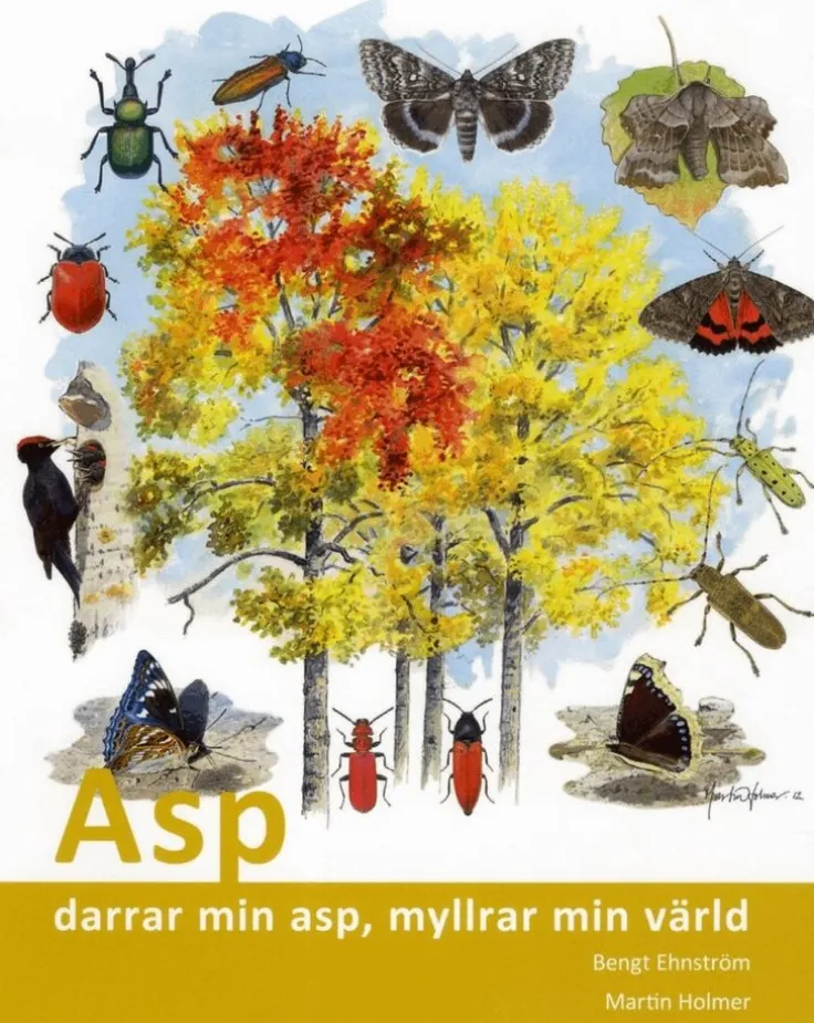 Asp : darrar min asp, myllrar min värld