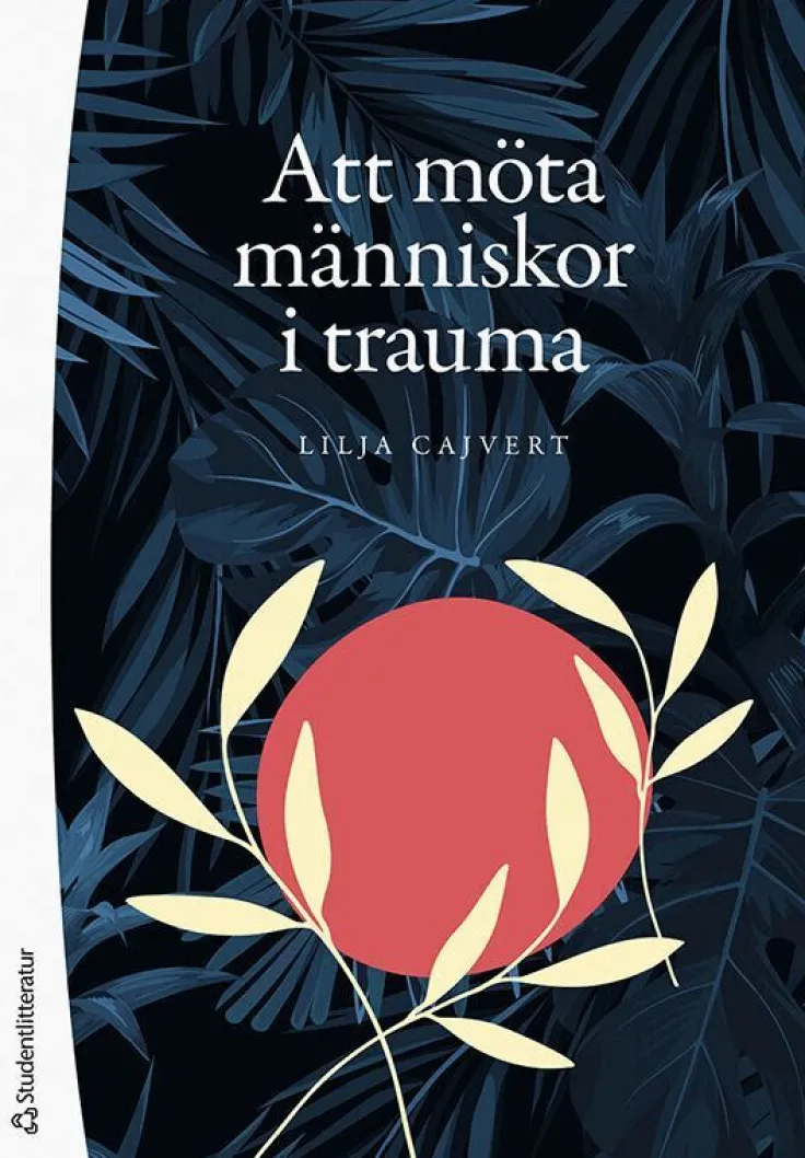 Att möta människor i trauma : hur kan vi bemöta traumadrabbade individer?