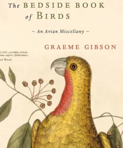 Bedside Book of Birds