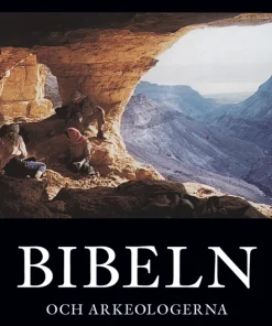 Bibeln och arkeologerna : om tro, myter och historia