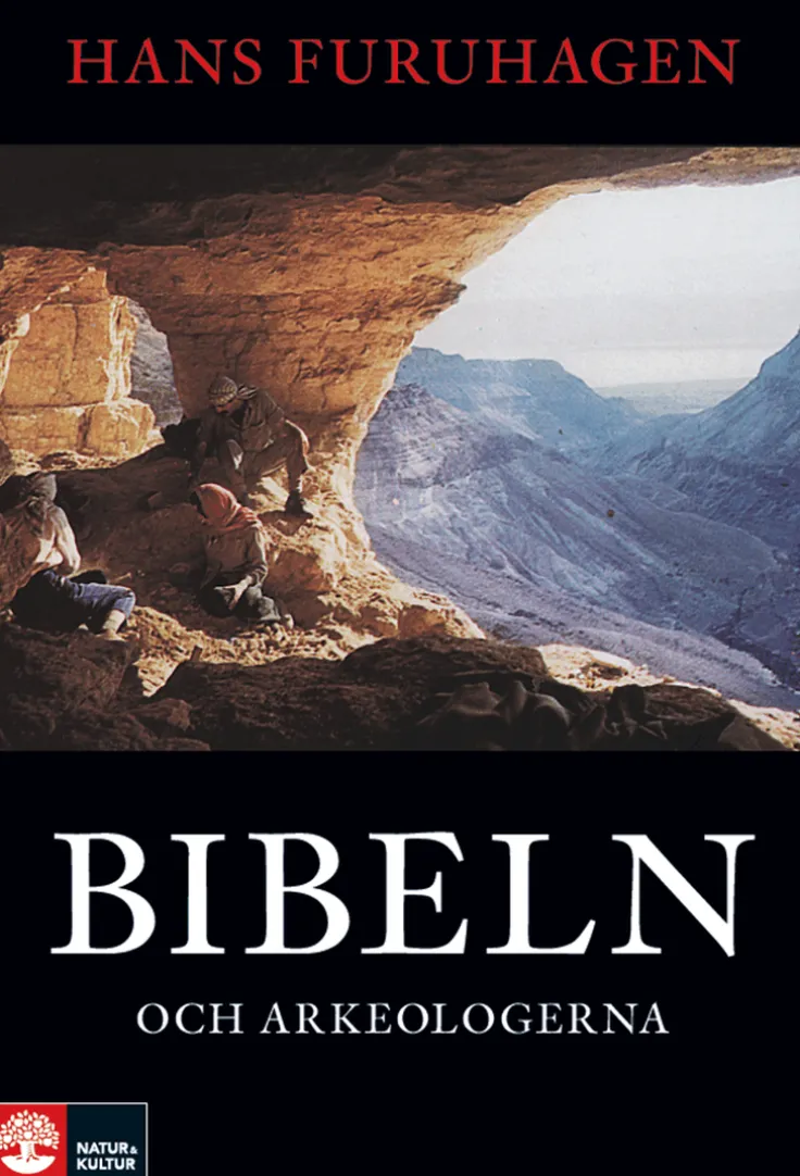 Bibeln och arkeologerna : om tro, myter och historia