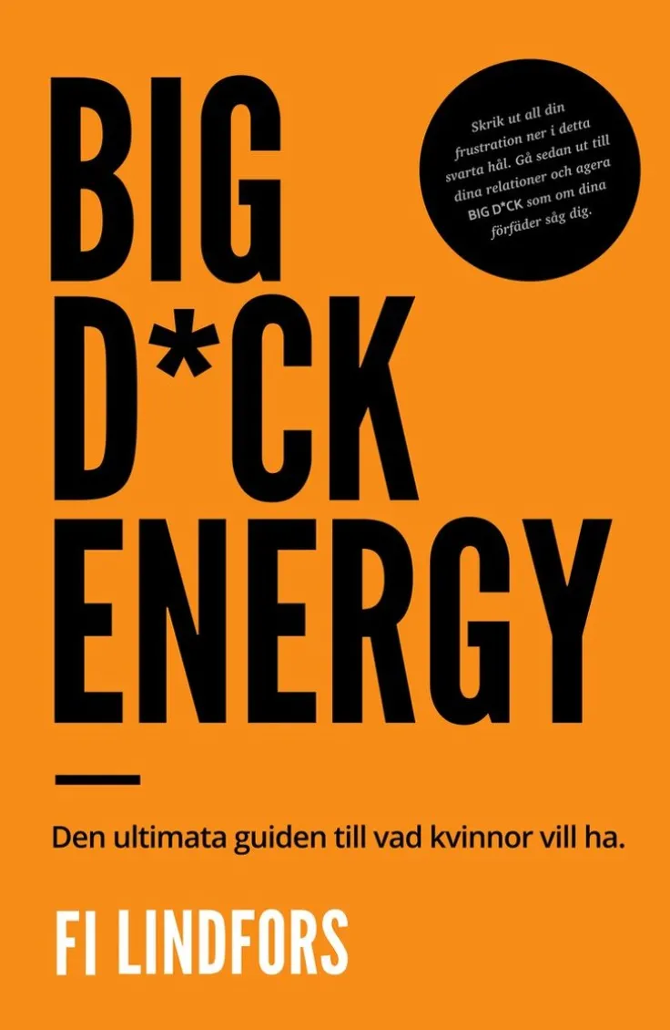 Big dick energy : den ultimata guiden till vad kvinnor vill ha