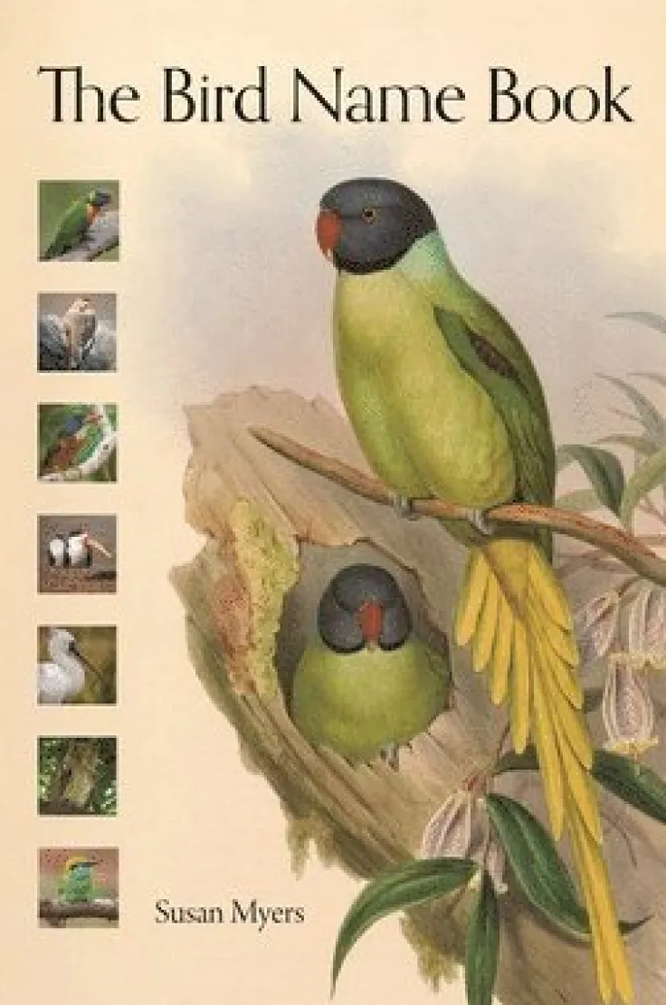 Bird Name Book