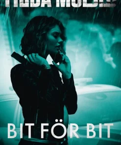 Bit för bit