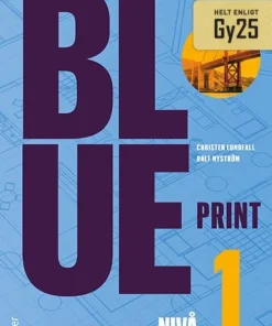 Blueprint nivå 1