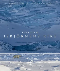 Bortom isbjörnens rike