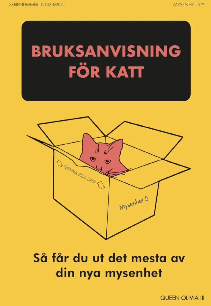 Bruksanvisning för katt : så får du ut det mesta av din nya mysenhet