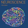 Cognitive Neuroscience