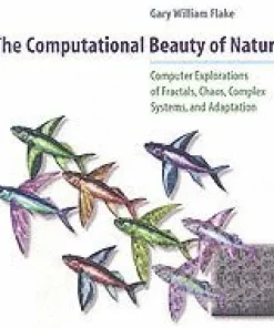 Computational Beauty of Nature