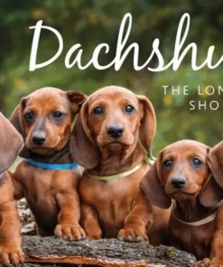 Dachshunds