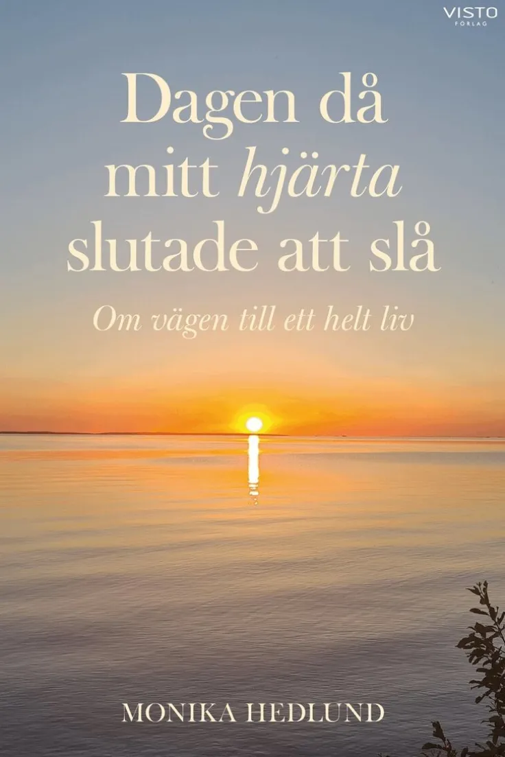Dagen då mitt hjärta slutade att slå : om vägen till ett helt liv