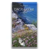 Dagfjärilar en fältguide