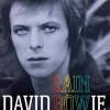 David Bowie Rainbowman