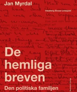 De hemliga breven : den politiska familjen och vardagens samtal