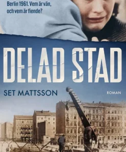 Delad stad