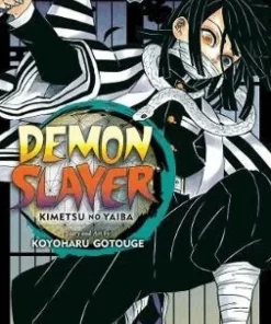Demon Slayer: Kimetsu no Yaiba, Vol. 19