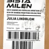 Den sista milen : Om e-handelns osynliga arbetare och de snabba paketens dolda pris.