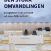 Den stora omvandlingen