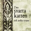 Den svarta katten och andra rysare