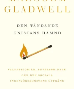 Den tändande gnistans revansch : overstories, superspridare & den sociala ingenjörskonstens uppgång
