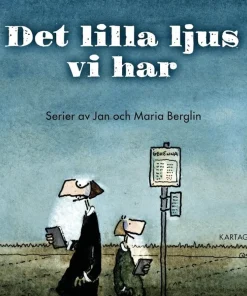 Det lilla ljus vi har