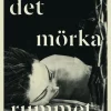 Det mörka rummet : om migränens historia och jakten på lindring