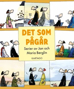 Det som pågår