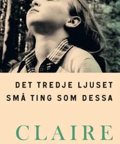 Det tredje ljuset ; Små ting som dessa