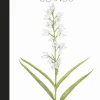 Die Orchideen Ölands