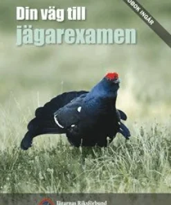 Din väg till jägarexamen