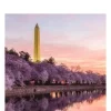 DK Top 10 Washington, DC
