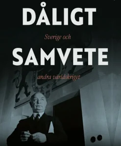 Dåligt samvete : Sverige och andra världskriget