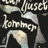 Där ljuset kommer in