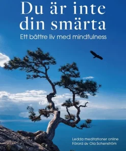 Du är inte din smärta : ett bättre liv med mindfulness