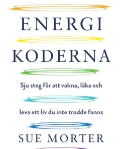 Energikoderna : sju steg för att vakna, läka och leva ett liv du inte trodde fanns