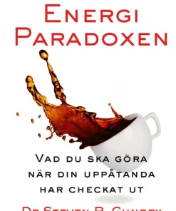 Energiparadoxen