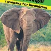 Enkla hörövningar i svenska för invandrare
