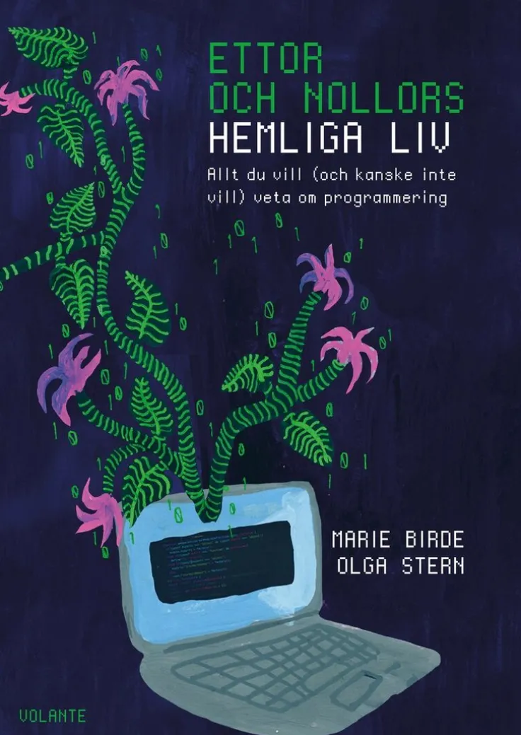 Ettor och nollors hemliga liv : Allt du vill (och kanske inte vill) veta om