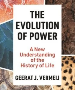Evolution of Power