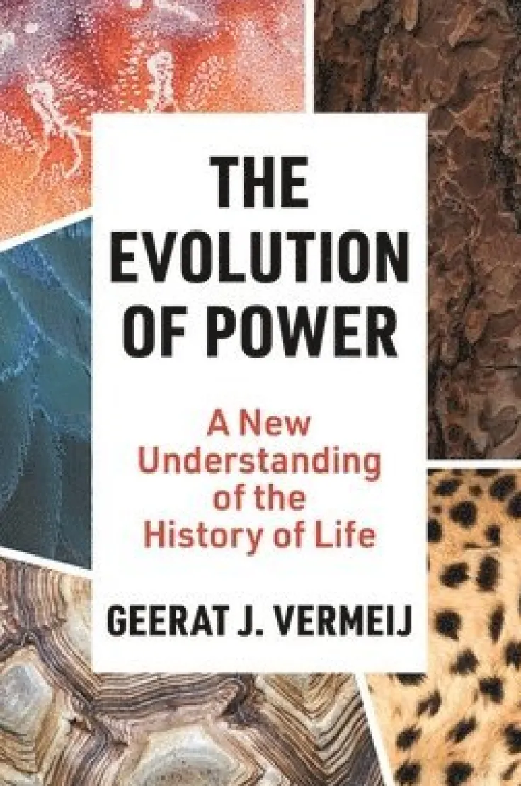 Evolution of Power