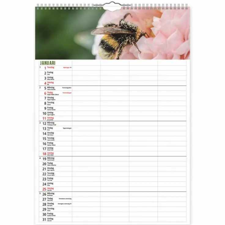 Familjekalender 2026 Humlor