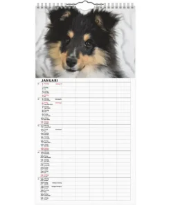 Familjekalender 2026 Hundar