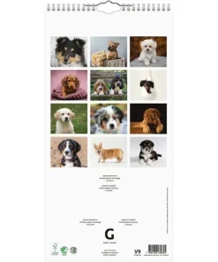 Familjekalender 2026 Hundar